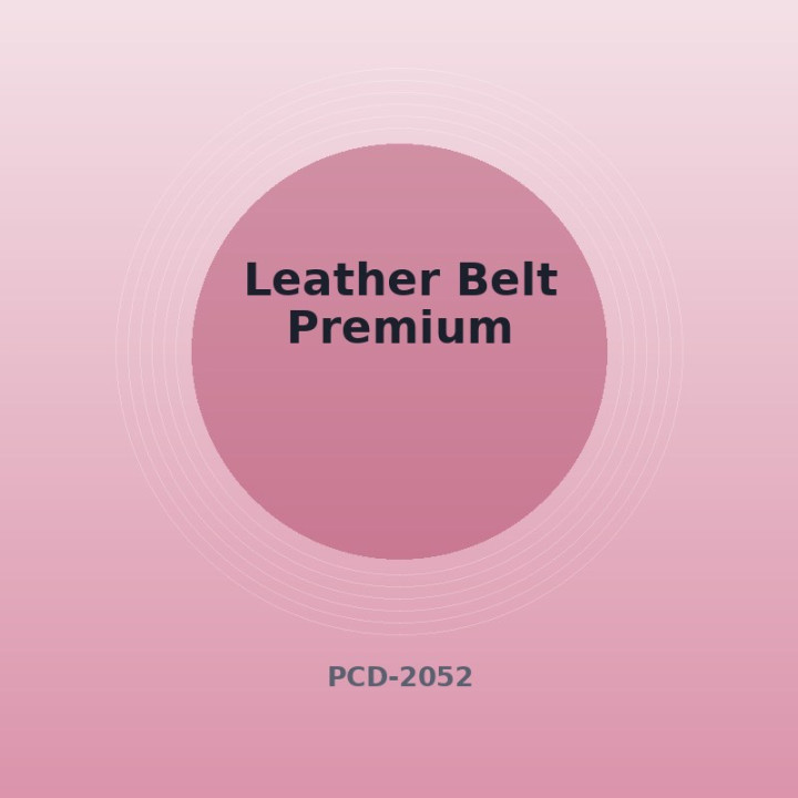 Ledergürtel Premium
